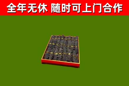 石家庄回收海参